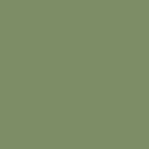 Sage green plain solid, BOHO floral coordinate, Hexcode 7d8e67