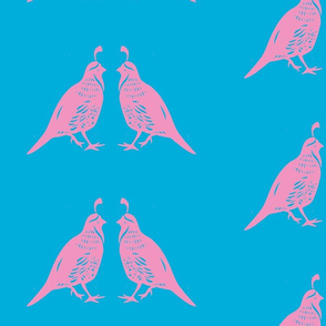Pink Quail Couple Blue Background