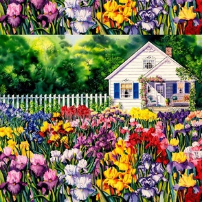Cottage Irises
