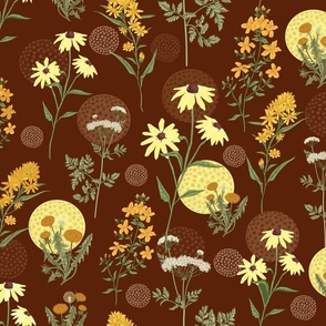 262. wild medicinal flower on brown background