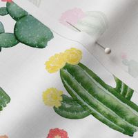 Flowering Cacti - Angelina Maria Designs