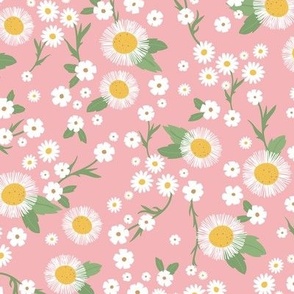Chamomile flowers daisies buttercups and asters white flower garden mix romantic boho summer theme white pink green yellow 