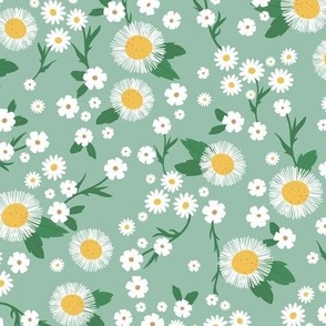 Chamomile flowers daisies buttercups and asters white flower garden mix romantic boho summer theme white yellow green on minty teal 