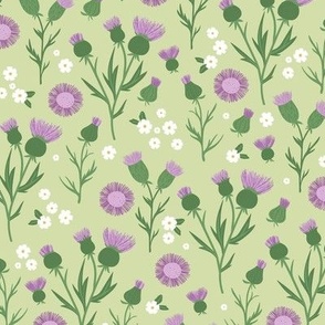 Thistles blossom romantic Scandinavian style flower garden thistle and daisy design green purple fuchsia on lime mint green 