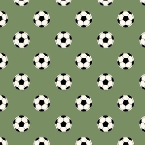 soccer ball - simple coordinate - sage - 