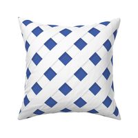 Custom 4462ab BLUE and WHITE DIAGONAL TRELLIS