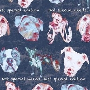 Specially Abled Pets - Special Needs Dogs 