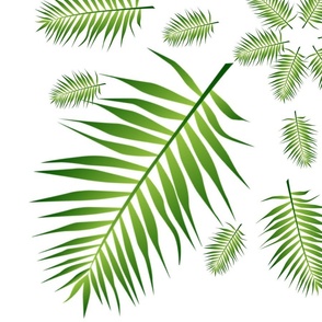 Plethora of Palm Leaves 