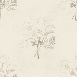 Pencil drawn poppy flowers bouquet on beige background