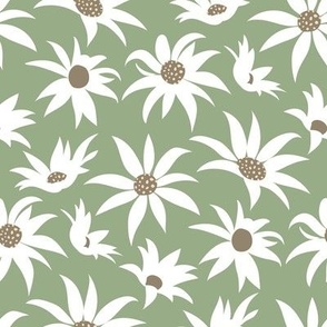 Small scale // Boho flannel flower // sage green background white and mushroom brown flowers ivory dots