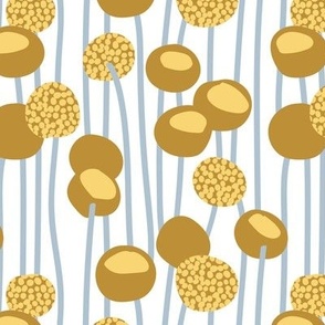 Small scale // Boho billy buttons // white background mustard and salomie yellow craspedia flowering plants pastel blue stalk vertical lines