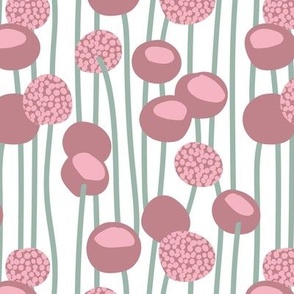Small scale // Boho billy buttons // white background pink and dry rose craspedia flowering plants periglacial blue green stalk vertical lines