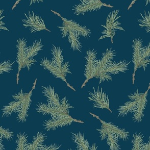 Large evergreen branches on navy blue, Winter Botanical,
