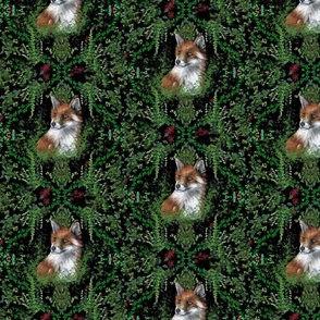 ivy framed forest fox