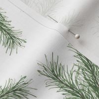 Medium Evergreen on white background, winter branches, Vera Ann 