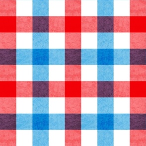 2 inch Independence Gingham 