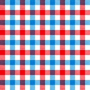 1 inch Independence Gingham 