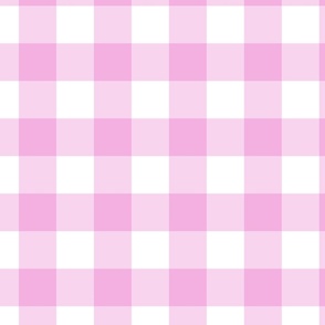 gingham_pink and white checkered cloth pattern