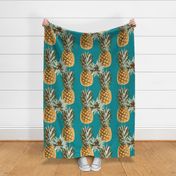 Pineapplerows2