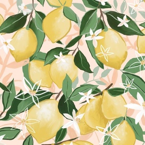 Lemons_and_flowers_1