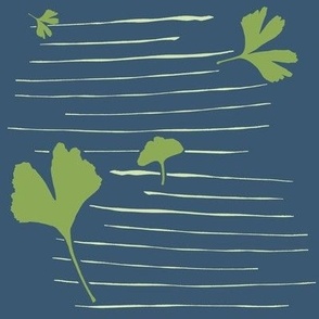 Gingko leaves,  blue green