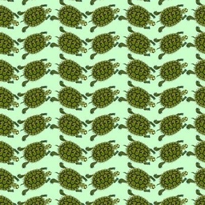 Turtle Zigzags on light green 1in