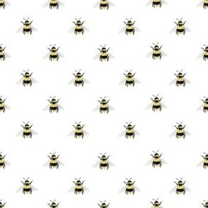 Bumble Bees