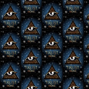 Trust No one All seeing eye of Providence Illuminati masonic symbol