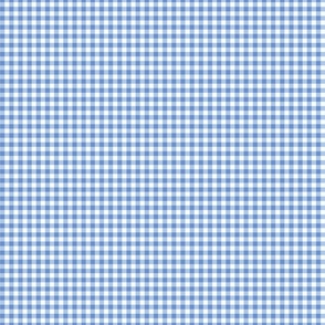 Watery Gingham 1/4 inch