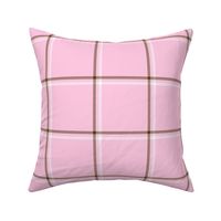 3 color windowpane neapolitan strawberry