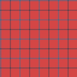tattersall plaid 60s earthy blues on earthy red