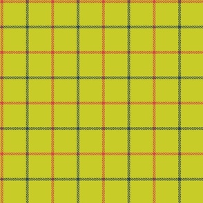 tattersall plaid 60s earthy red and blue on earthy green