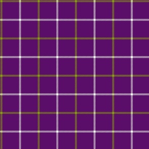 tattersall plaid green and white on purple