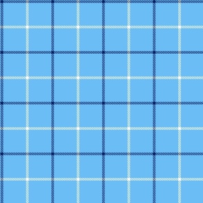 tattersall plaid navy and white on light blue