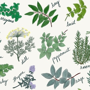 Herb Collection 