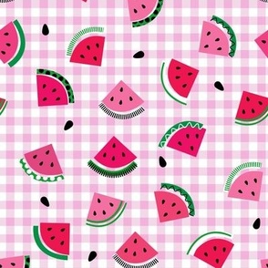 Fun Whimsical Abstract Sliced Watermelon and Seeds Tossed on Pink Gingham Check Non DIrectional