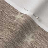 Sandy fantasy stars realistic fur texture