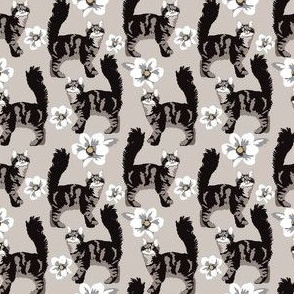 Gray and Black Tabby Cat with Magnolia Flowers Small Print Kitty, Kitten - Cat Fabric