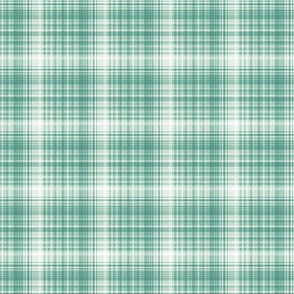 aqua plaid