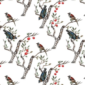 Birds and fruits sketchy print spring Large