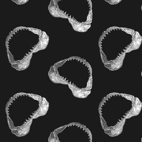 shark-jaw_black_white