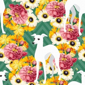 White Italian Greyhounds or Whippets Floral