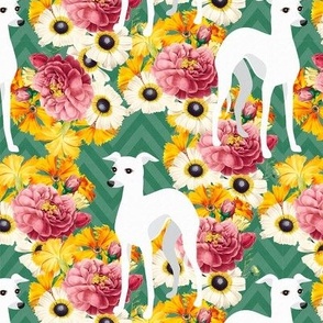 White Italian Greyhounds or Whippets Floral