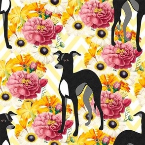 Black Italian Greyhounds or Whippets Floral