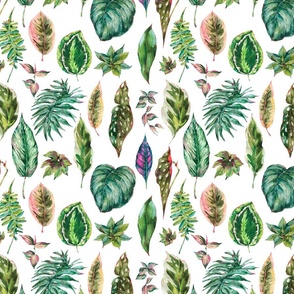Tropical leaves pattern in white