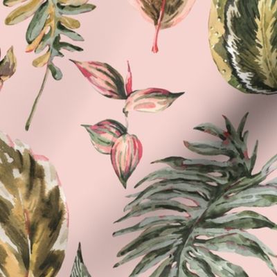 Watercolor tropical leaves on pink