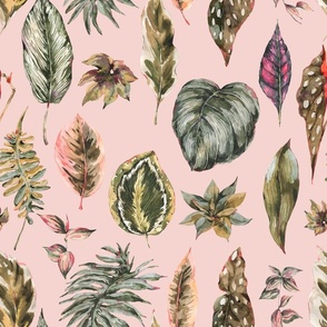 Watercolor tropical leaves on pink