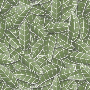 Sage green leaves