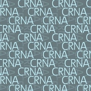 CRNA slate and soft blue