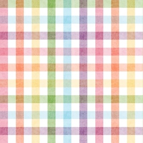 1 Inch Rainbow Gingham